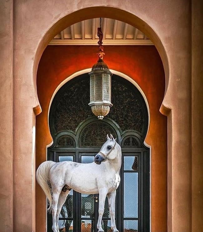 Selman Marrakech